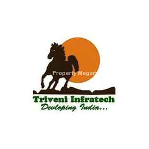 Triveni Realtors logo
